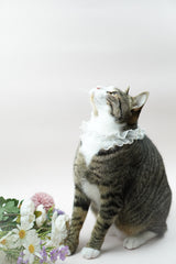 Bridgerton Puff Collar