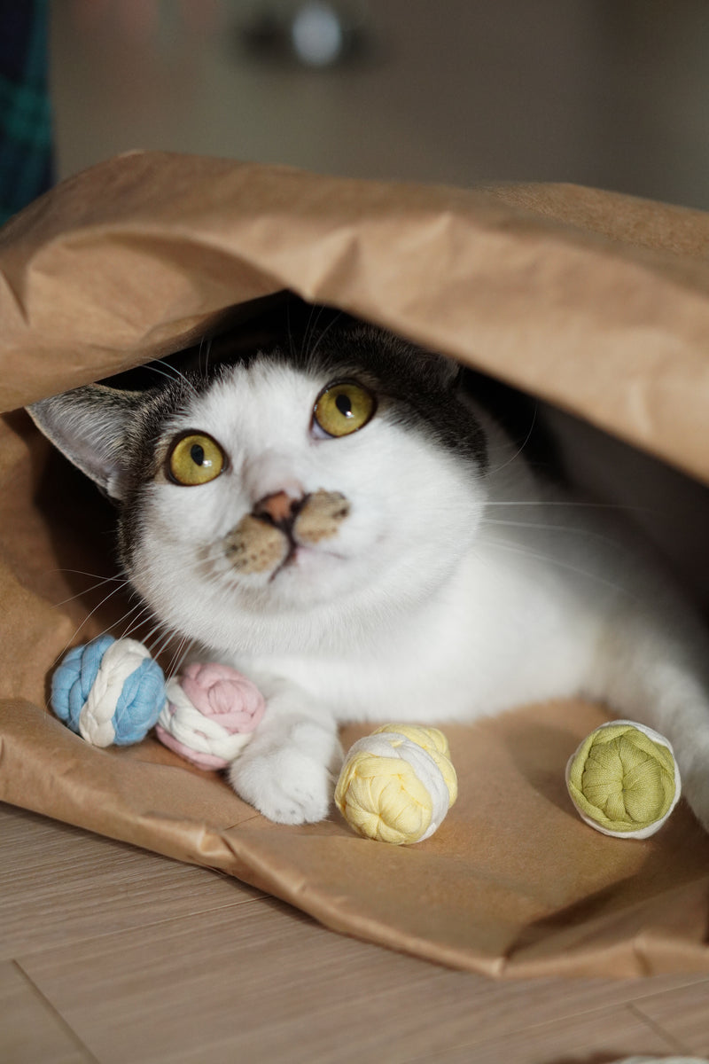 Macaroon Ball Set (4)