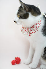 Strawberry Shortcake Bib