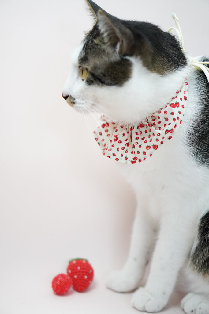 Strawberry Shortcake Bib