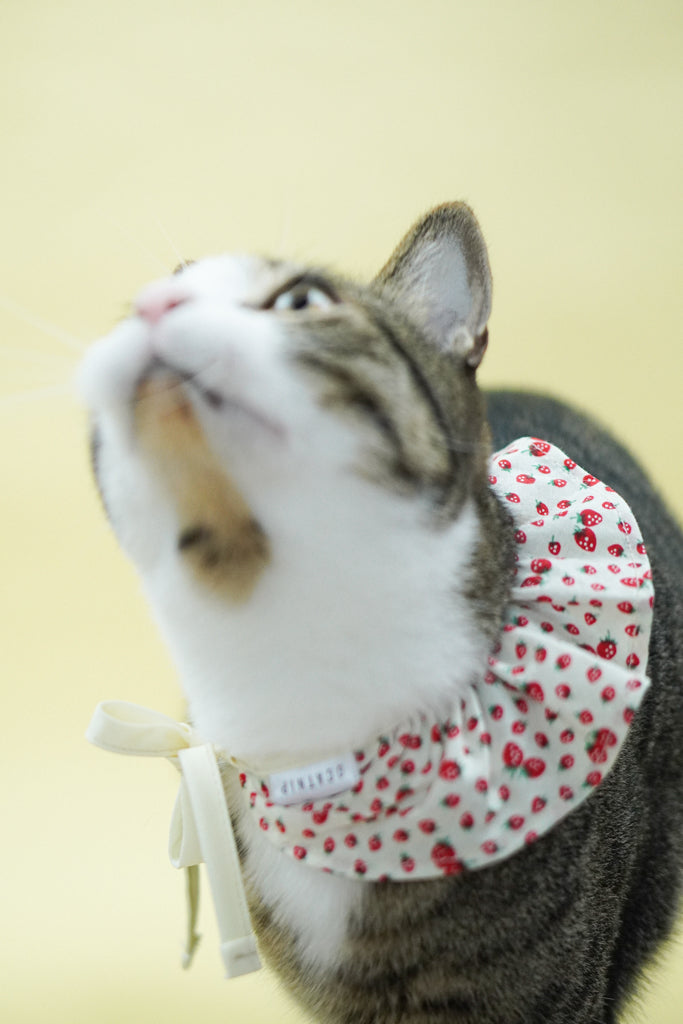 Strawberry Shortcake Bib