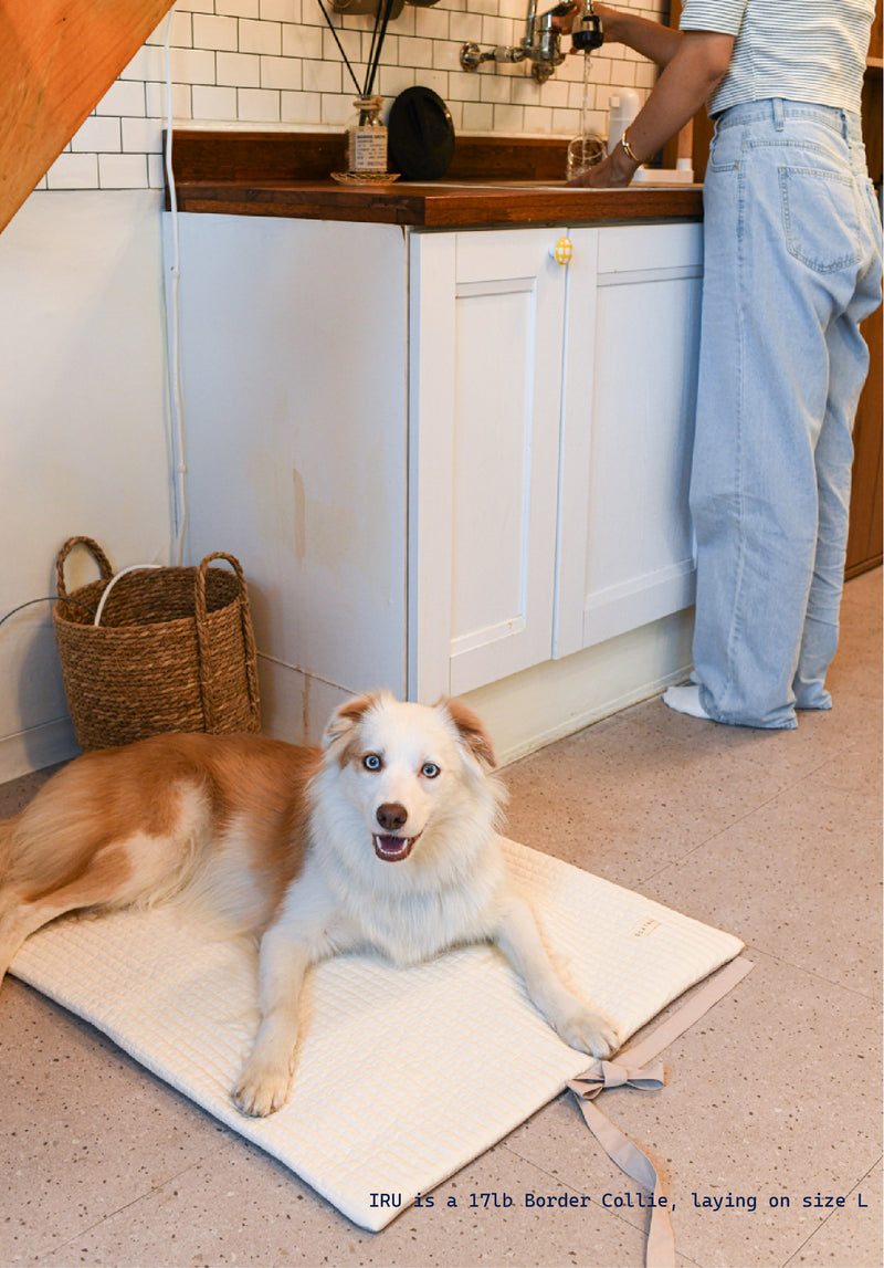 Oatmeal Roll-Up Bed