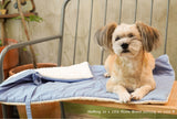 Blueberry Roll-Up Bed
