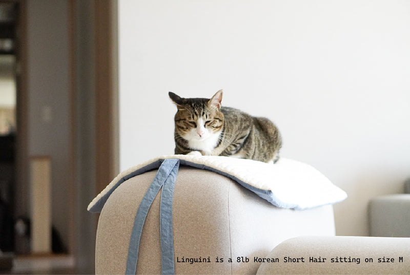 Blueberry Roll-Up Bed