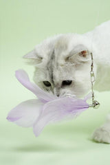 Dreamy Feather Set