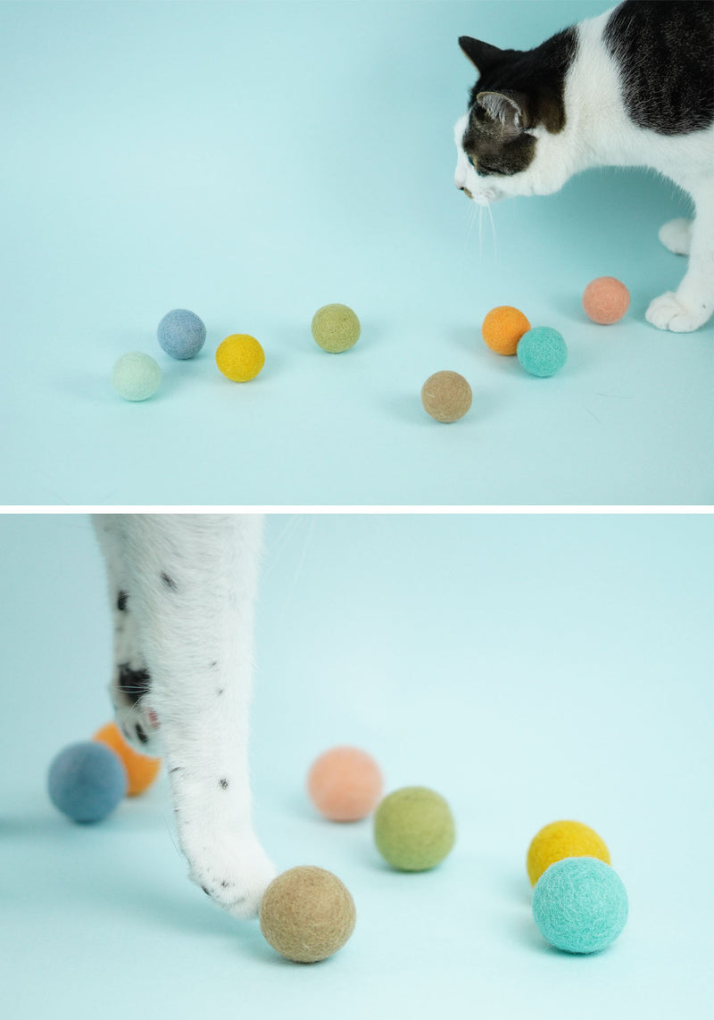 Small Wool Ball Set (8)
