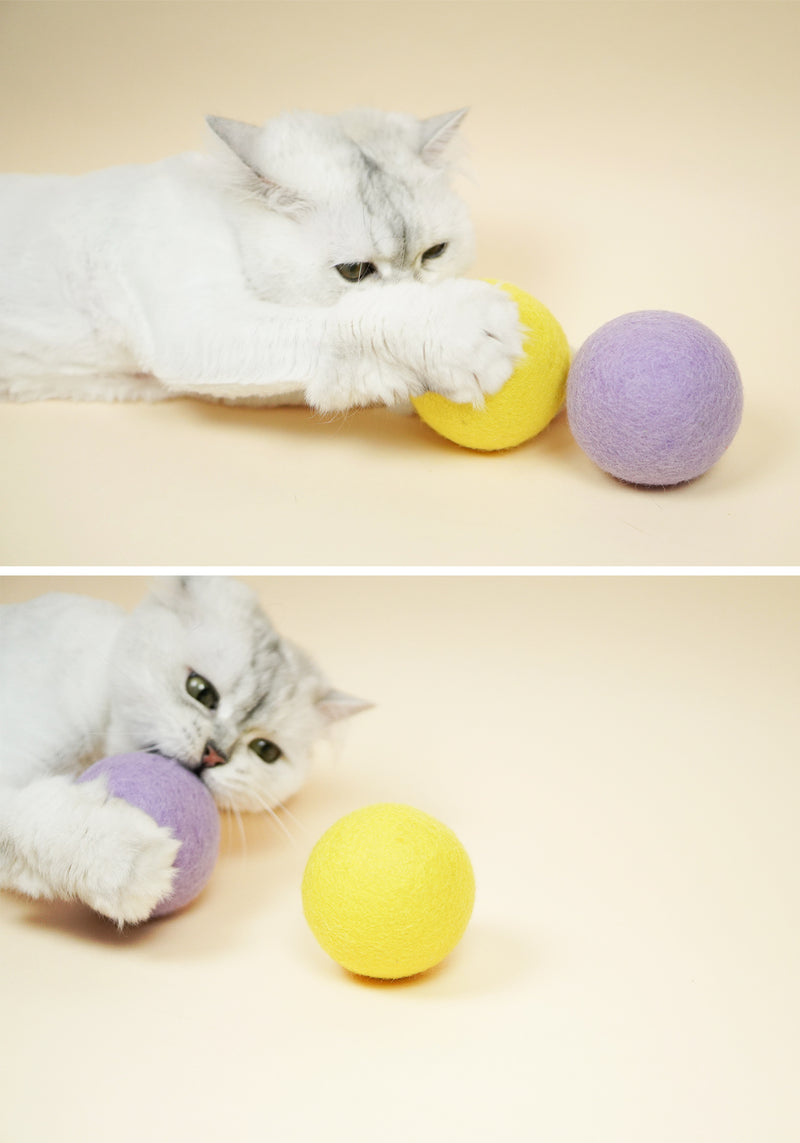 Large Wool Ball Set (2)
