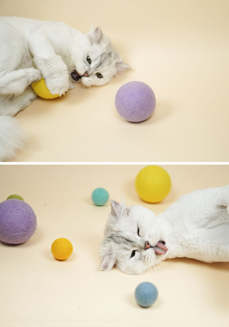 Large Wool Ball Set (2)