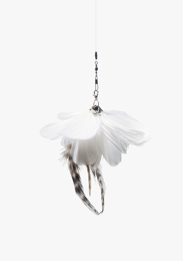 White Tutu Feather Teaser