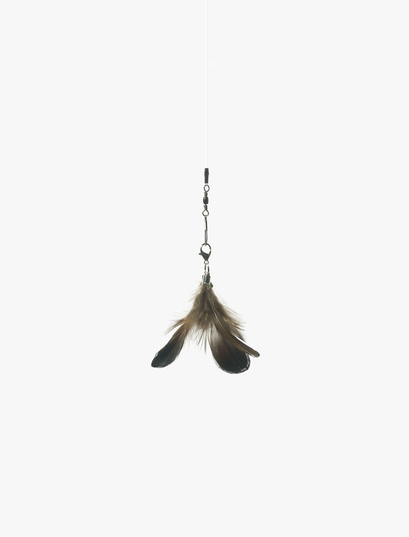 Mini-Beetle Feather Teaser